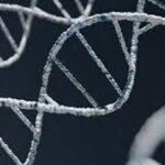 3D Strand of DNA