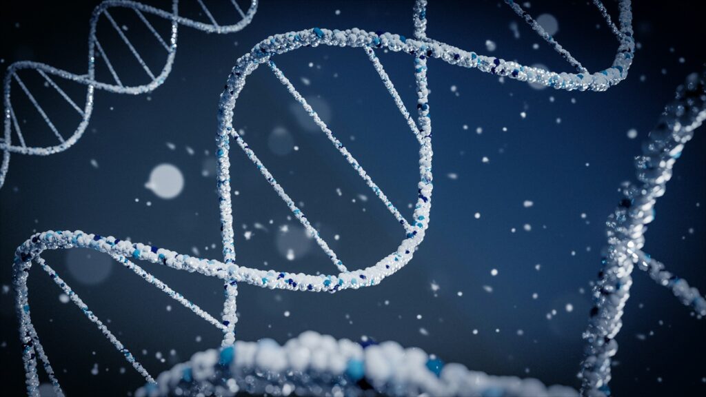 dna strands dna strands