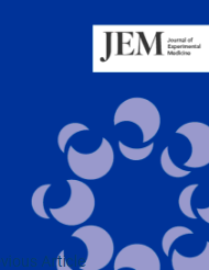 JEM magazine cover