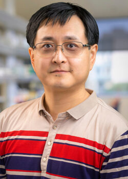 Dr. Zhang profile photo