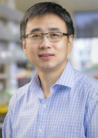 Dr. Xiang profile photo