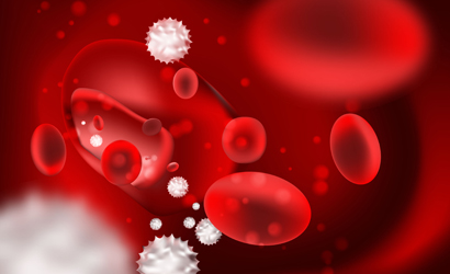 Decorative photo of red and white blood cells