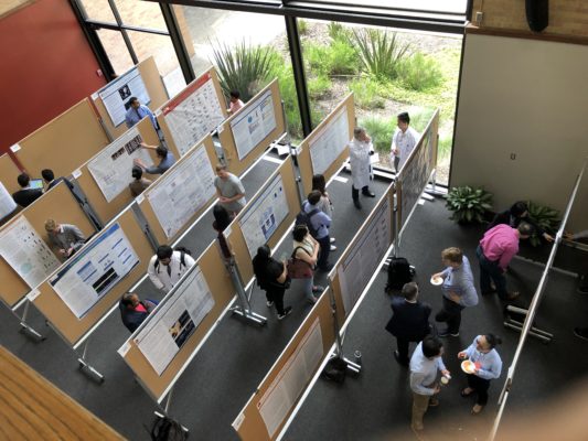 Aerial view of research posters