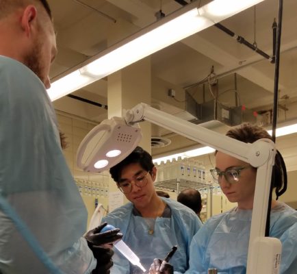 Participants work in the cadaver lab.