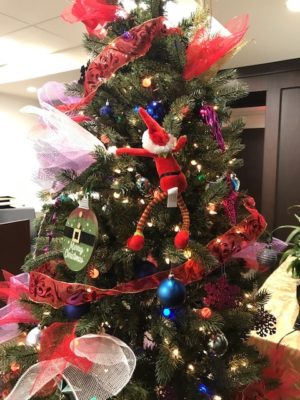 Neuro Elf climbs a Christmas tree. He's so close to the top!