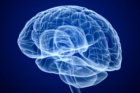 See-through illustration of the human brain, against a blue background.