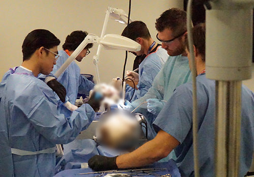 People in scrubs standing around a blurred out cadaver,