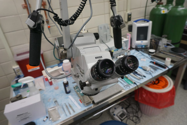 A close up of laboratory tools and instruments, with a special emphasis on a microscope.