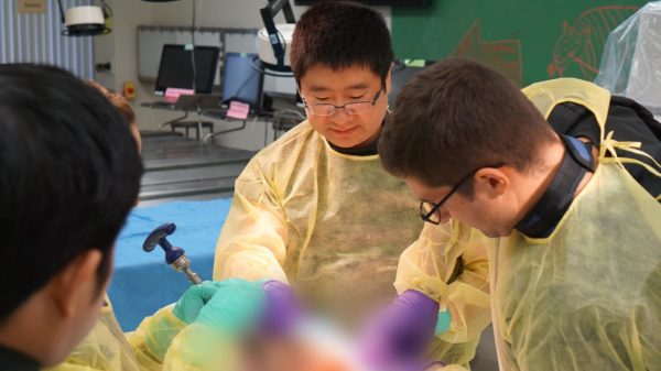 Dr. Sun and others stand over an anatomical specimen while listening to his instruction.