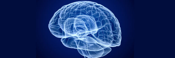 A translucent white brain schematic against a dark blue backdrop.