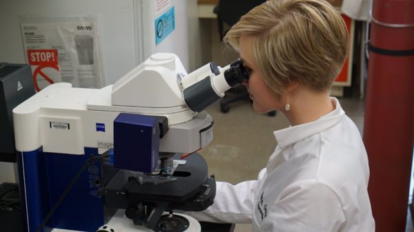 Graduate Student Kristi Guerrero peers into a microscope.