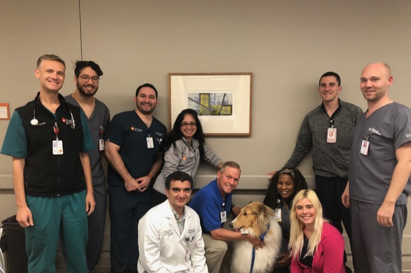 Laddie the Therapy Dog posed with the Neurocritical Care staff.