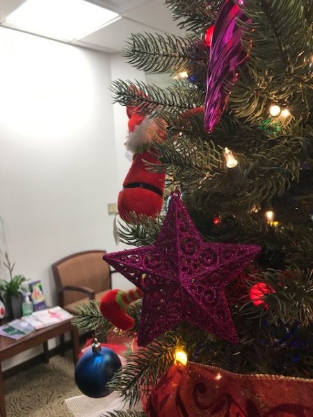 Neuro Elf climbs a Christmas tree. This shot is of him from behind.