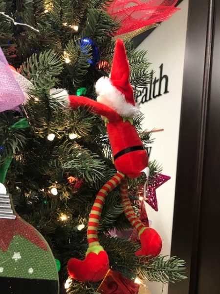 Neuro Elf climbs a Christmas tree.