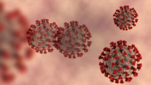 Picture of the covid virus