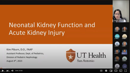 Neonatal Kidney Function and Acute Kidney Injury