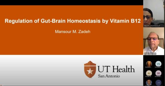 Regulation of Gut-Brain Homeostasis by Vitamin B12
