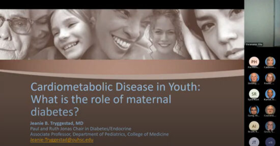 Cardiometabolic Disease in Youth: What is the role of maternal Diabetes