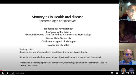 Monocytes in Health and Diseases