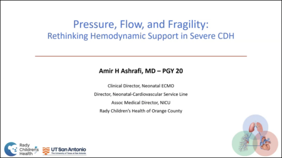 Pressure, Flow, and Fragility; Rethinking Hemodynamic Support in Severe CDH