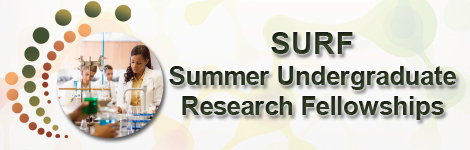 SURF Summer Undergraduate Research Fellowships