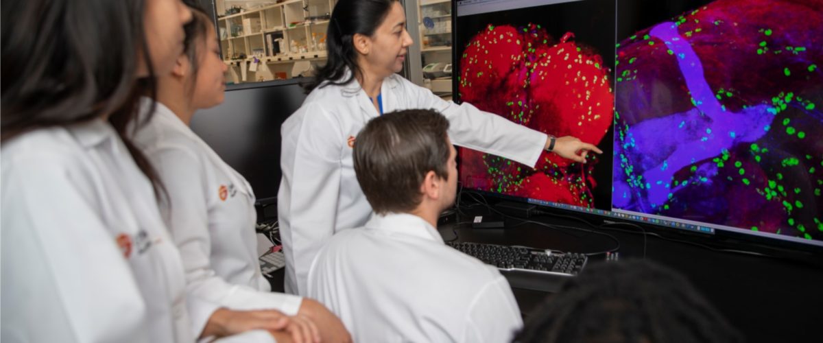 Students looking at medical image